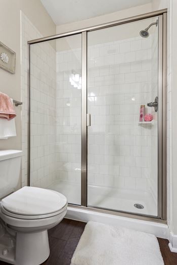 A white toilet sits next to a walk-in shower.